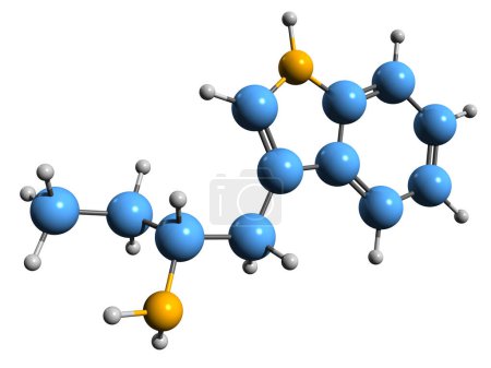 Foto de Imagen 3D de la fórmula esquelética alfa-etiltriptamina - estructura química molecular de 3-indol butilamina aislada sobre fondo blanco - Imagen libre de derechos