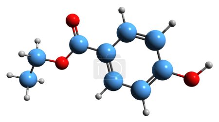 Foto de Imagen 3D de la fórmula esquelética de Ethylparaben - estructura química molecular del 4-hidroxibenzoato de etilo aislado sobre fondo blanco - Imagen libre de derechos
