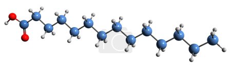 Foto de Imagen 3D de la fórmula esquelética del ácido mirístico - estructura química molecular del ácido tetradecanoico aislado sobre fondo blanco - Imagen libre de derechos
