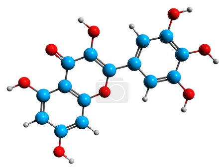 Téléchargez les photos : Image 3D de la formule squelettique de Myricetin - structure chimique moléculaire de la cannabiscétine isolée sur fond blanc - en image libre de droit