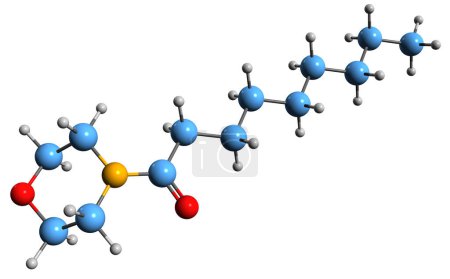 Photo for 3D image of 4-Nonanoylmorpholine skeletal formula - molecular chemical structure of 4-Morpholinenonylic acid isolated on white background - Royalty Free Image