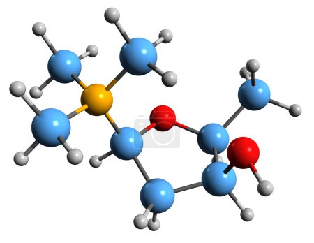 Foto de Imagen 3D de la fórmula esquelética de la muscarina: estructura química molecular de la toxina de los hongos aislada sobre fondo blanco - Imagen libre de derechos