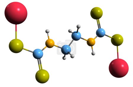 Photo for 3D image of Nabam skeletal formula - molecular chemical structure of  herbicide isolated on white background - Royalty Free Image