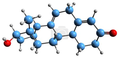 Téléchargez les photos : Image 3D de la formule squelettique de Nandrolone - structure chimique moléculaire de 19-Nortestosterone isolé sur fond blanc - en image libre de droit