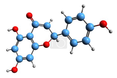Foto de Imagen 3D de la fórmula esquelética de Naringenina - estructura química molecular del flavonoide predominante en pomelo aislado sobre fondo blanco - Imagen libre de derechos