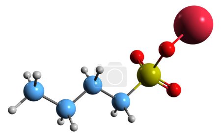 Téléchargez les photos : Image 3D de la formule squelettique du butanesulfonate de sodium - structure chimique moléculaire d'un composé organique isolé sur fond blanc - en image libre de droit