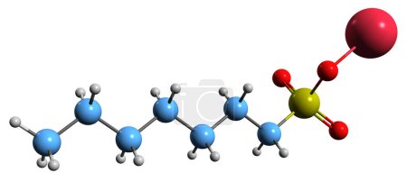 Téléchargez les photos : Image 3D de la formule squelettique de l'heptanesulfonate de sodium - structure chimique moléculaire d'isolée sur fond blanc - en image libre de droit