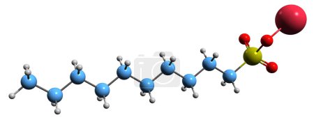 Téléchargez les photos : Image 3D de la formule squelettique du décansulfonate de sodium - structure chimique moléculaire du décylsulfonate de sodium isolé sur fond blanc - en image libre de droit