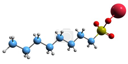 Foto de Imagen 3D de Fórmula esquelética de octanesulfonato de sodio: estructura química molecular del sulfonato de caprilo de sodio aislado sobre fondo blanco - Imagen libre de derechos