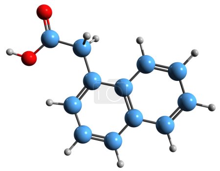 Téléchargez les photos : Image 3D de la formule squelettique de l'acide naphthylacétique - structure chimique moléculaire de l'hormone végétale synthétique isolée sur fond blanc - en image libre de droit