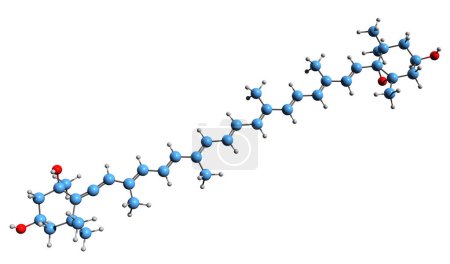 Téléchargez les photos : Image 3D de la formule squelettique de la néoxanthine - structure chimique moléculaire de la foliaxanthine isolée sur fond blanc - en image libre de droit