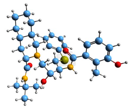 Foto de Imagen 3D de la fórmula esquelética de Nelfinavir: estructura química molecular del agente antiviral aislado sobre fondo blanco - Imagen libre de derechos