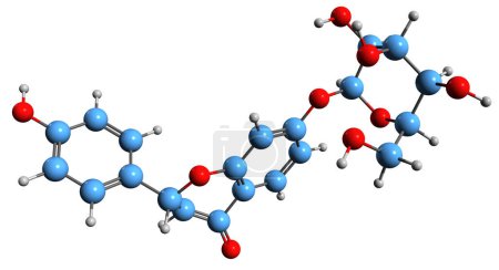 Foto de Imagen 3D de la fórmula esquelética de Neoliquiritina - estructura química molecular de Liquiritigenina 7-beta-D-glucopiranósido aislado sobre fondo blanco - Imagen libre de derechos