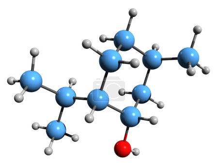 Foto de Imagen 3D de la fórmula esquelética de Neomenthol - estructura química molecular de Mentha fitoquímico aislado sobre fondo blanco - Imagen libre de derechos
