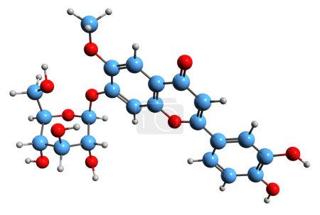 Foto de Imagen 3D de la fórmula esquelética de Nepitrina - estructura química molecular del fitoquímico de plátano aislado sobre fondo blanco - Imagen libre de derechos