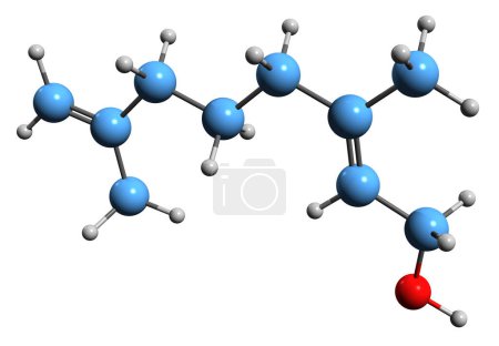 Foto de Imagen 3D de la fórmula esquelética de Nerol - estructura química molecular del alcohol monoterpenoide aislado sobre fondo blanco - Imagen libre de derechos