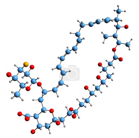 Foto de Imagen 3D de la fórmula esquelética de la nistatina - estructura química molecular de la medicación antifúngica aislada sobre fondo blanco - Imagen libre de derechos