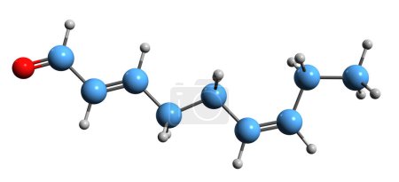 Foto de Imagen 3D de la fórmula esquelética no adienal - estructura química molecular del aldehído de hoja violeta aislado sobre fondo blanco - Imagen libre de derechos
