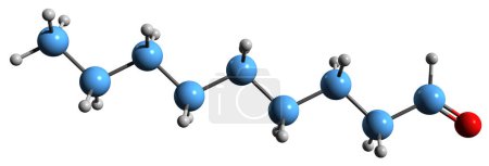 Photo for 3D image of Nonanal skeletal formula - molecular chemical structure of Nonanaldehyde isolated on white background - Royalty Free Image