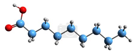 Téléchargez les photos : Image 3D de la formule squelettique de l'acide pélargonique - structure chimique moléculaire de l'acide nonanoïque isolé sur fond blanc - en image libre de droit
