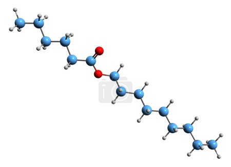 Foto de Imagen 3D de la fórmula esquelética de hexanoato de nonilo - estructura química molecular del éster nonílico de ácido hexanoico aislado sobre fondo blanco - Imagen libre de derechos