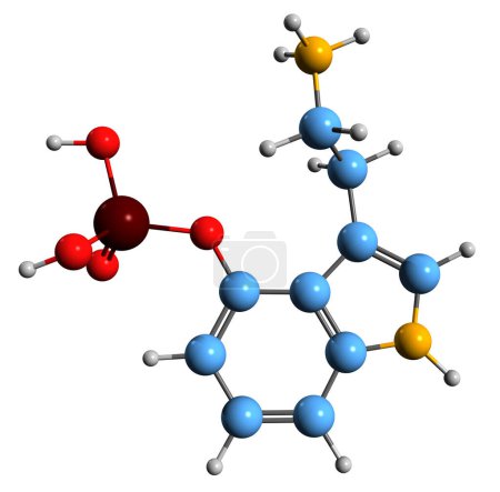Foto de Imagen 3D de Norbaeocystin skeletal formula - estructura química molecular del alcaloide de los hongos psilocibina aislado sobre fondo blanco - Imagen libre de derechos