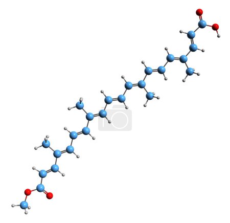 Foto de Imagen 3D de la fórmula esquelética de norbixina - estructura química molecular de tinte natural aislado sobre fondo blanco - Imagen libre de derechos