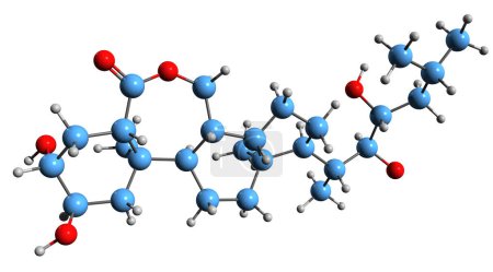 Téléchargez les photos : Image 3D de la formule squelettique de Norbrassinolide - structure chimique moléculaire de la phytohormone isolée sur fond blanc - en image libre de droit