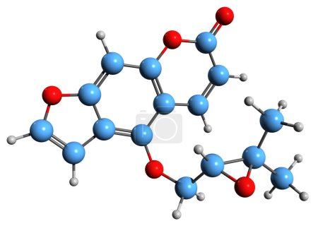 Foto de Imagen 3D de la fórmula esquelética de oxyneucedanin - estructura química molecular de cumarina aislada sobre fondo blanco - Imagen libre de derechos