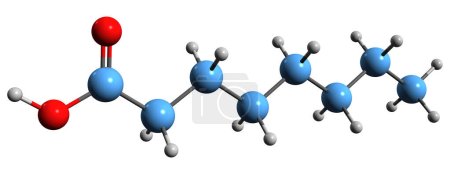 Foto de Imagen 3D de la fórmula esquelética del ácido caprílico - estructura química molecular del ácido octílico aislado sobre fondo blanco - Imagen libre de derechos