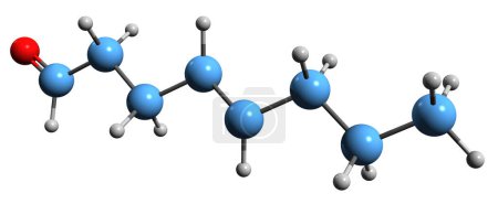 Foto de Imagen 3D de la fórmula esquelética octanal - estructura química molecular del aldehído caprílico aislado sobre fondo blanco - Imagen libre de derechos