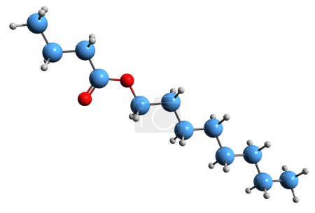 Téléchargez les photos : Image 3D de la formule squelettique du butyrate d'octyle - structure chimique moléculaire du butanoate d'octyle isolé sur fond blanc - en image libre de droit