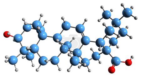 Foto de Imagen 3D de la fórmula esquelética del ácido oleanólico - estructura química molecular del triterpenoide pentacíclico aislado sobre fondo blanco - Imagen libre de derechos