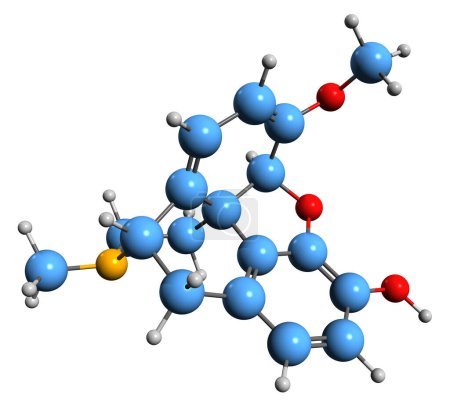 Téléchargez les photos : Image 3D de la formule squelettique Oripavine - structure chimique moléculaire de la 3-O-déméthylthébaïne isolée sur fond blanc - en image libre de droit