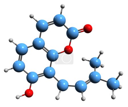 Foto de Imagen 3D de la fórmula esquelética de Osthenol - estructura química molecular del metabolito vegetal hidroxicumarina aislada sobre fondo blanco - Imagen libre de derechos