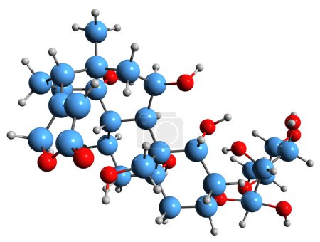 Téléchargez les photos : Image 3D de la formule squelettique Ouabain - structure chimique moléculaire de la g-strophanthine de poison de flèche isolée sur fond blanc - en image libre de droit
