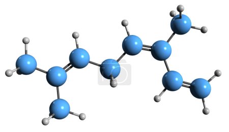 Photo for 3D image of Ocimene skeletal formula - molecular chemical structure of monoterpene isolated on white background - Royalty Free Image