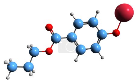 Téléchargez les photos : Image 3D de la formule squelettique du para-oxybenzoate de sodium et de propyle structure chimique moléculaire du sel de sodium de propylparabène isolé sur fond blanc - en image libre de droit