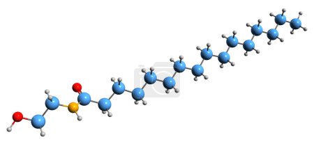 Foto de Imagen 3D de la fórmula esquelética de palmitoiletanolamida - estructura química molecular del endocannabinoide aislado sobre fondo blanco - Imagen libre de derechos