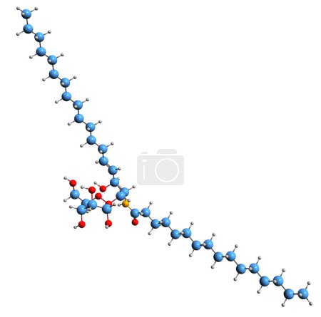 Téléchargez les photos : Image 3D de la formule squelettique palmitoyl-glucocérébroside structure chimique moléculaire de Cerebroside isolé sur fond blanc - en image libre de droit
