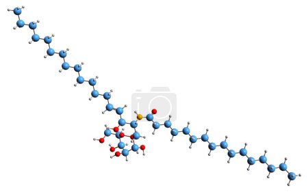 Photo for 3D image of palmitoyl-galactocerebroside skeletal formula - molecular chemical structure of Cerebroside isolated on white background - Royalty Free Image