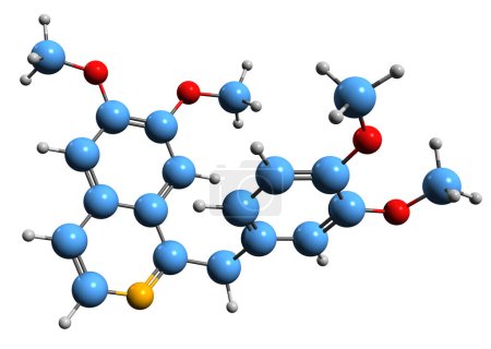 Téléchargez les photos : Image 3D de la formule squelettique de la papavérine - structure chimique moléculaire de l'alcaloïde d'opium isolé sur fond blanc - en image libre de droit