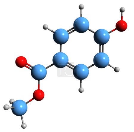 Téléchargez les photos : Image 3D de la formule squelettique du méthylparabène - structure chimique moléculaire du p-hydroxybenzoate de méthyle isolé sur fond blanc - en image libre de droit