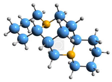 Téléchargez les photos : Image 3D de la formule squelettique Sparteine - structure chimique moléculaire de l'agent antiarythmique Pachycarpine isolé sur fond blanc - en image libre de droit