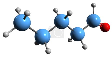 Foto de Imagen 3D de la fórmula esquelética pentanal - estructura química molecular del aldehído valérico aislado sobre fondo blanco - Imagen libre de derechos