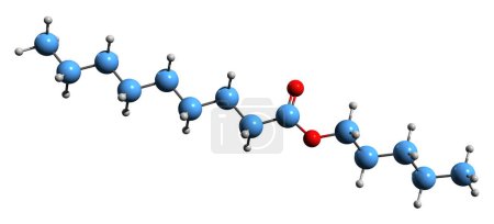 Photo for 3D image of Amyl nonanoate skeletal formula - molecular chemical structure of Pentyl nonanoate isolated on white background - Royalty Free Image