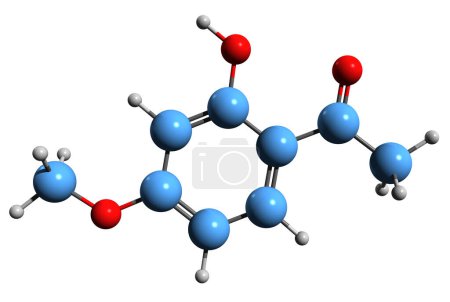 Photo for 3D image of Paeonol skeletal formula - molecular chemical structure of Hydroxy methoxyacetophenone isolated on white background - Royalty Free Image