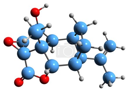 Foto de Imagen 3D de la fórmula esquelética de Picrotoxina - estructura química molecular de la fitotoxina cocculina aislada sobre fondo blanco - Imagen libre de derechos