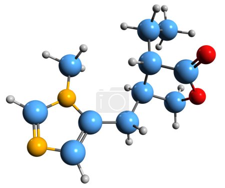 Foto de Imagen 3D de la fórmula esquelética de Pilocarpina - estructura química molecular de la medicación ocular aislada sobre fondo blanco - Imagen libre de derechos
