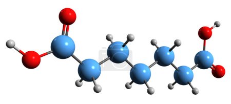 Téléchargez les photos : Image 3D de la formule squelettique de l'acide pimélique - structure chimique moléculaire de l'acide héptanedioïque isolé sur fond blanc - en image libre de droit